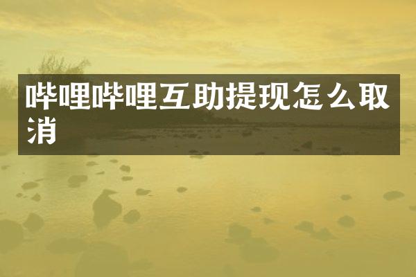 哔哩哔哩互助提现怎么取消