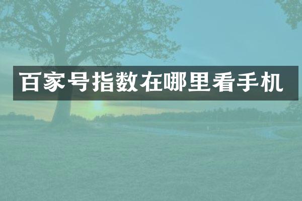 百家号指数在哪里看手机