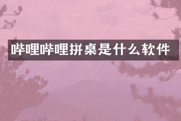 哔哩哔哩拼桌是什么软件