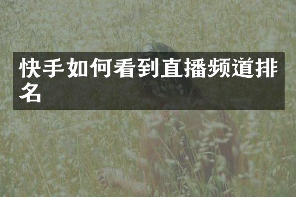 快手如何看到直播频道排名