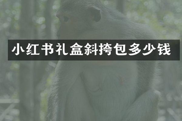 小红书礼盒斜挎包多少钱