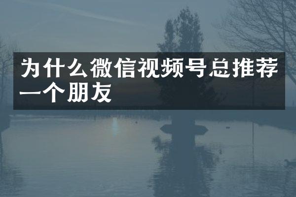 为什么微信视频号总推荐一个朋友