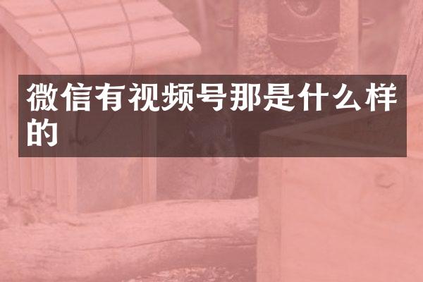 微信有视频号那是什么样的