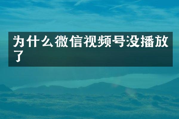 为什么微信视频号没播放了
