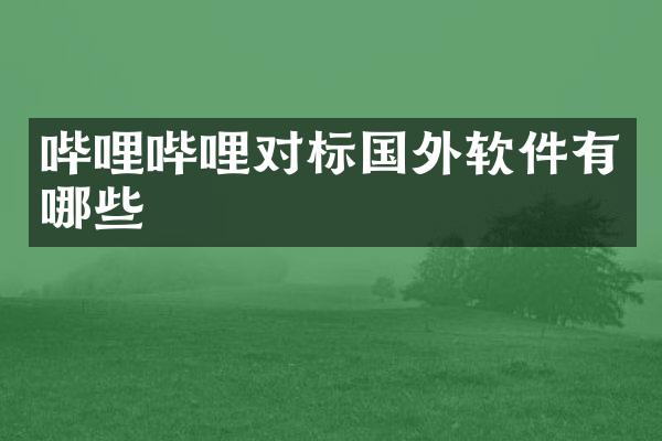 哔哩哔哩对标国外软件有哪些
