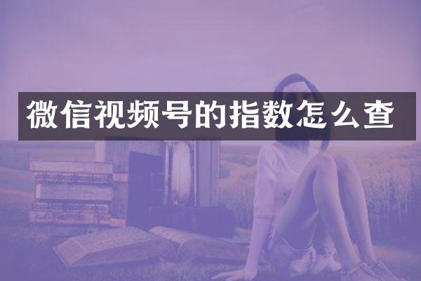 微信视频号的指数怎么查