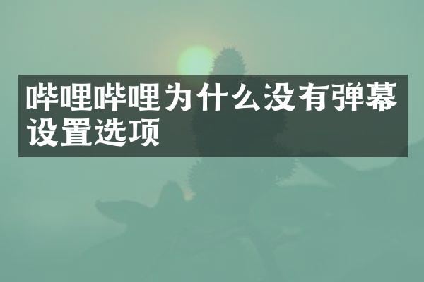 哔哩哔哩为什么没有弹幕设置选项