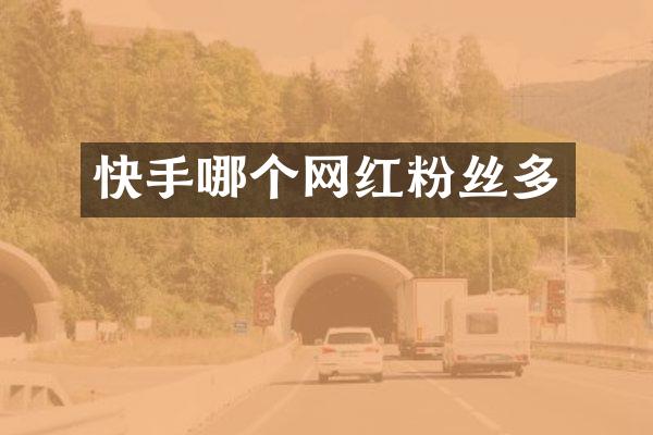 快手哪个网红粉丝多