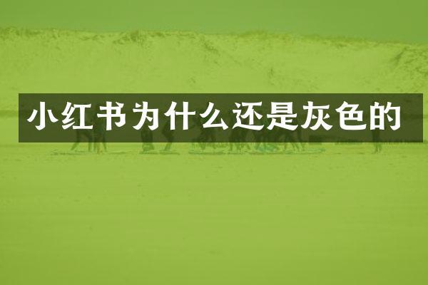 小红书为什么还是灰色的
