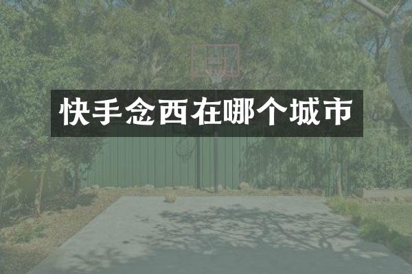 快手念西在哪个城市
