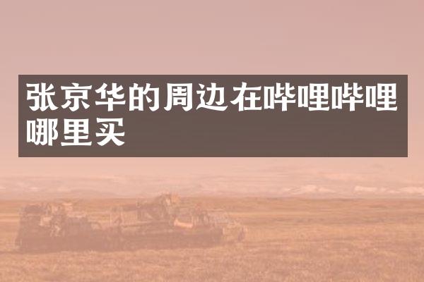 张京华的周边在哔哩哔哩哪里买