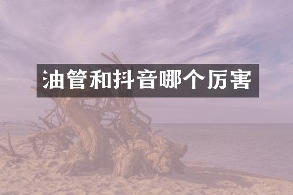 油管和抖音哪个厉害