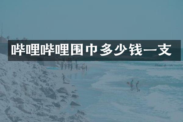 哔哩哔哩围巾多少钱一支