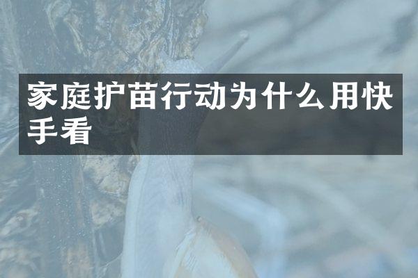 家庭护苗行动为什么用快手看