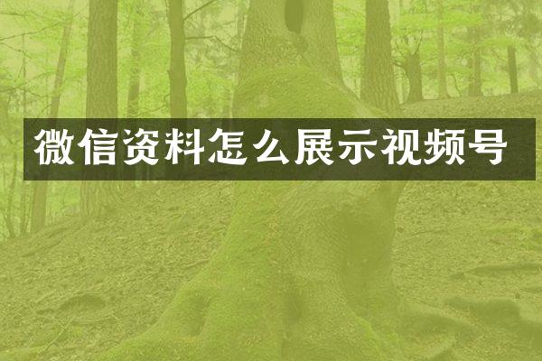 微信资料怎么展示视频号