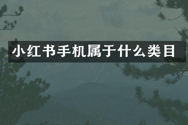 小红书手机属于什么类目