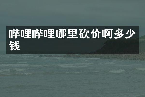 哔哩哔哩哪里砍价啊多少钱