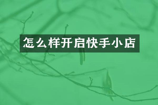 怎么样开启快手小店