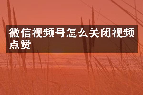微信视频号怎么关闭视频点赞