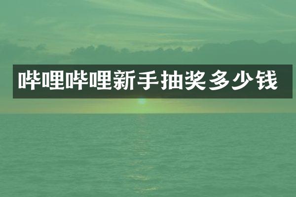 哔哩哔哩新手抽奖多少钱