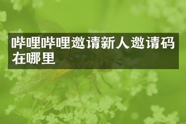 哔哩哔哩邀请新人邀请码在哪里