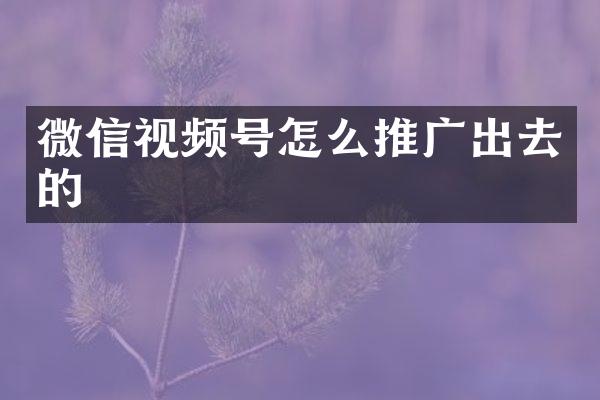 微信视频号怎么推广出去的