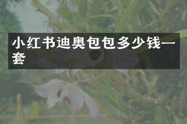 小红书包包多少钱一套