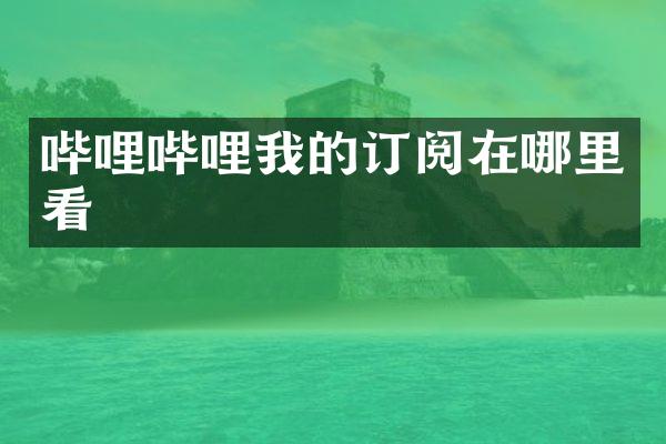 哔哩哔哩我的订阅在哪里看