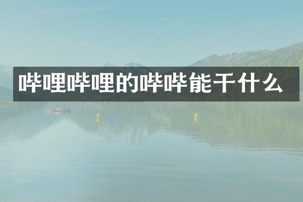 哔哩哔哩的哔哔能干什么
