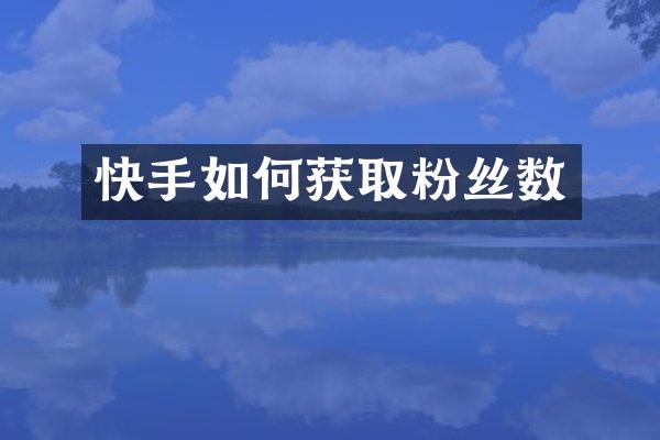 快手如何获取粉丝数