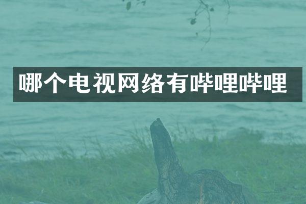 哪个电视网络有哔哩哔哩
