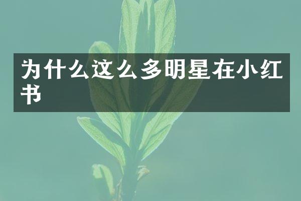 为什么这么多明星在小红书