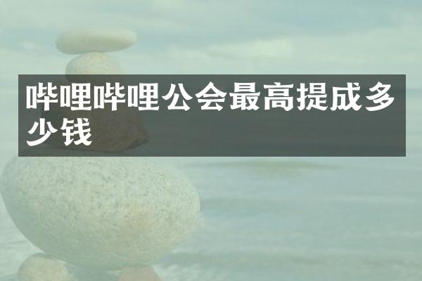 哔哩哔哩公会最高多少钱