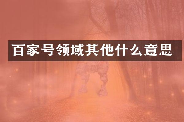 百家号领域其他什么意思