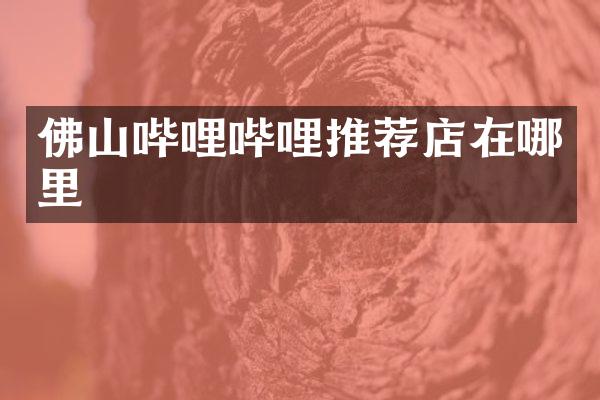 佛山哔哩哔哩推荐店在哪里