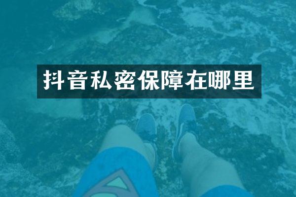 抖音私密保障在哪里