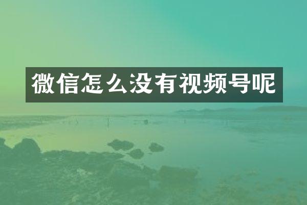 微信怎么没有视频号呢