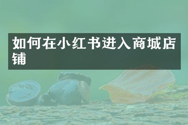 如何在小红书进入商城店铺