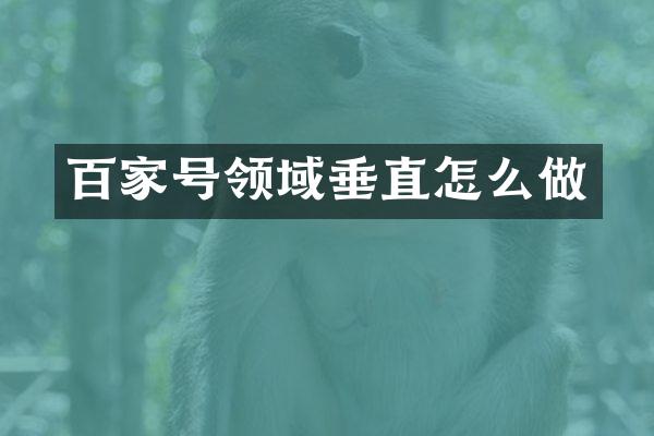 百家号领域垂直怎么做