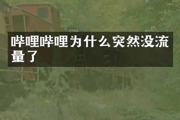 哔哩哔哩为什么突然没流量了