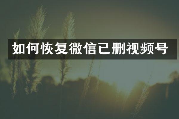 如何恢复微信已删视频号