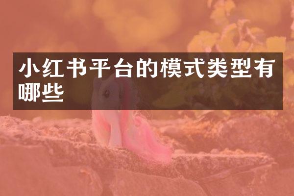 小红书平台的模式类型有哪些