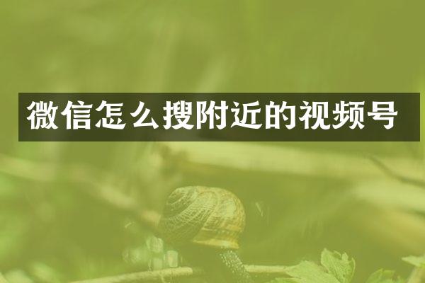 微信怎么搜附近的视频号