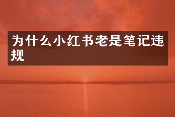 为什么小红书老是笔记违规