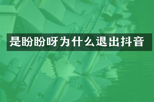 是盼盼呀为什么退出抖音