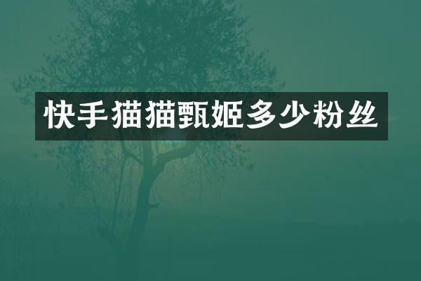 快手猫猫甄姬多少粉丝