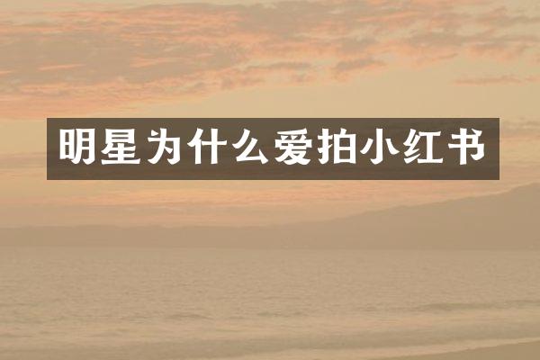 明星为什么爱拍小红书