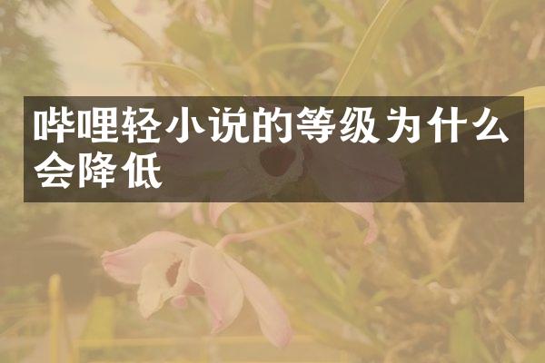 哔哩轻小说的等级为什么会降低