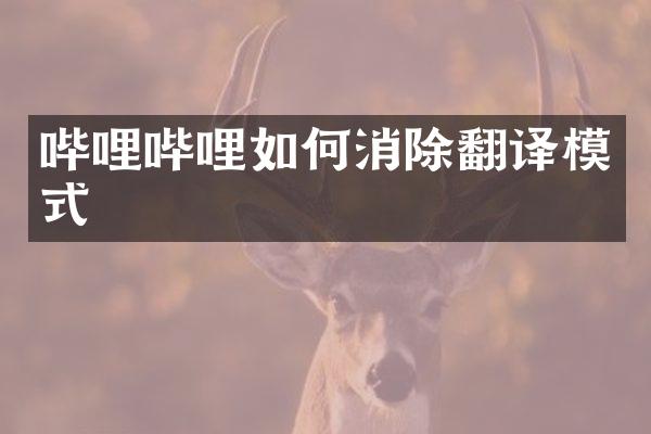 哔哩哔哩如何消除翻译模式