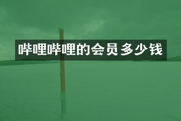哔哩哔哩的会员多少钱